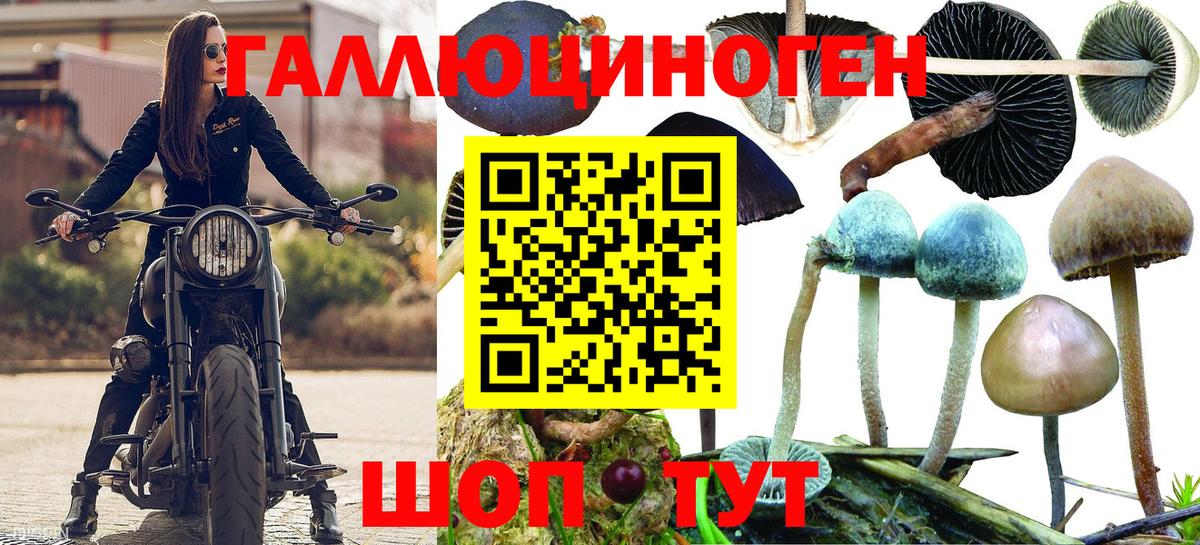 Галлюциногенные грибы Magic Shrooms  Вход с VPN  Псилоцибиновые грибы Magic Shrooms  Ликино-Дулёво 